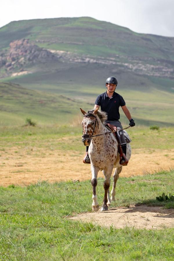 Wild Horses Lodge Harrismith Exteriér fotografie