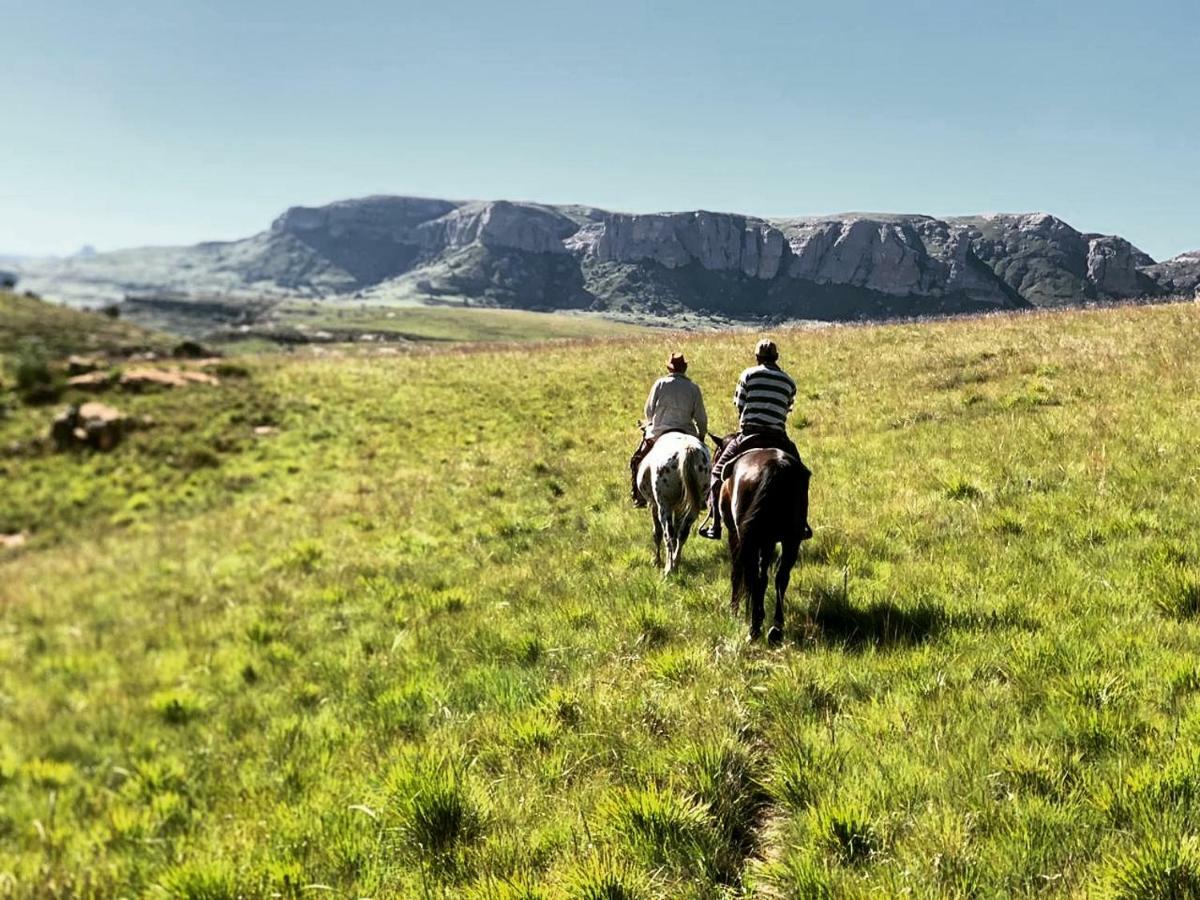 Wild Horses Lodge Harrismith Exteriér fotografie